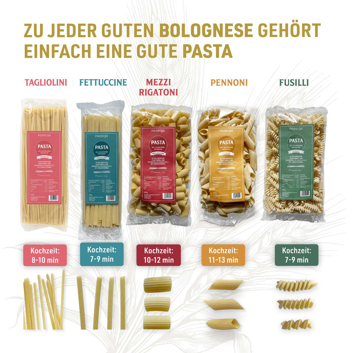 Fünf Pastasorten mit Packung: Tagliolini, Fettuccine, Mezzi Rigatoni, Pennoni und Fusilli